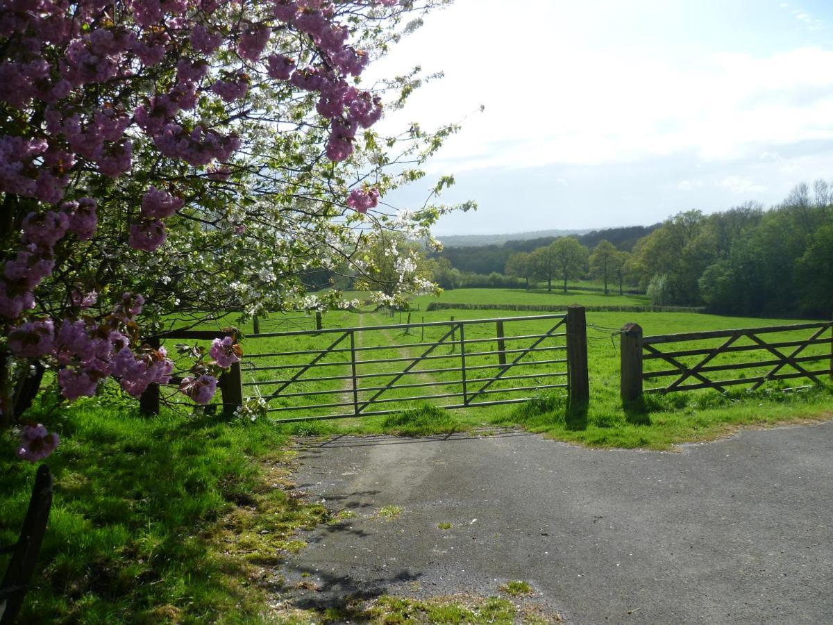 Moaps Farm B&B Support Small Business, Welcome, Check In From 5 Pm Danehill Eksteriør billede