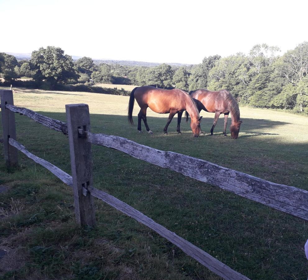 Moaps Farm B&B Support Small Business, Welcome, Check In From 5 Pm Danehill Eksteriør billede