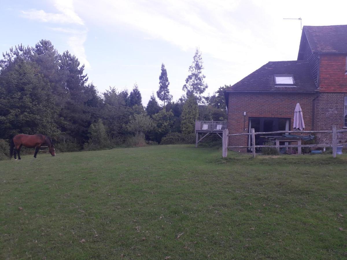 Moaps Farm B&B Support Small Business, Welcome, Check In From 5 Pm Danehill Eksteriør billede