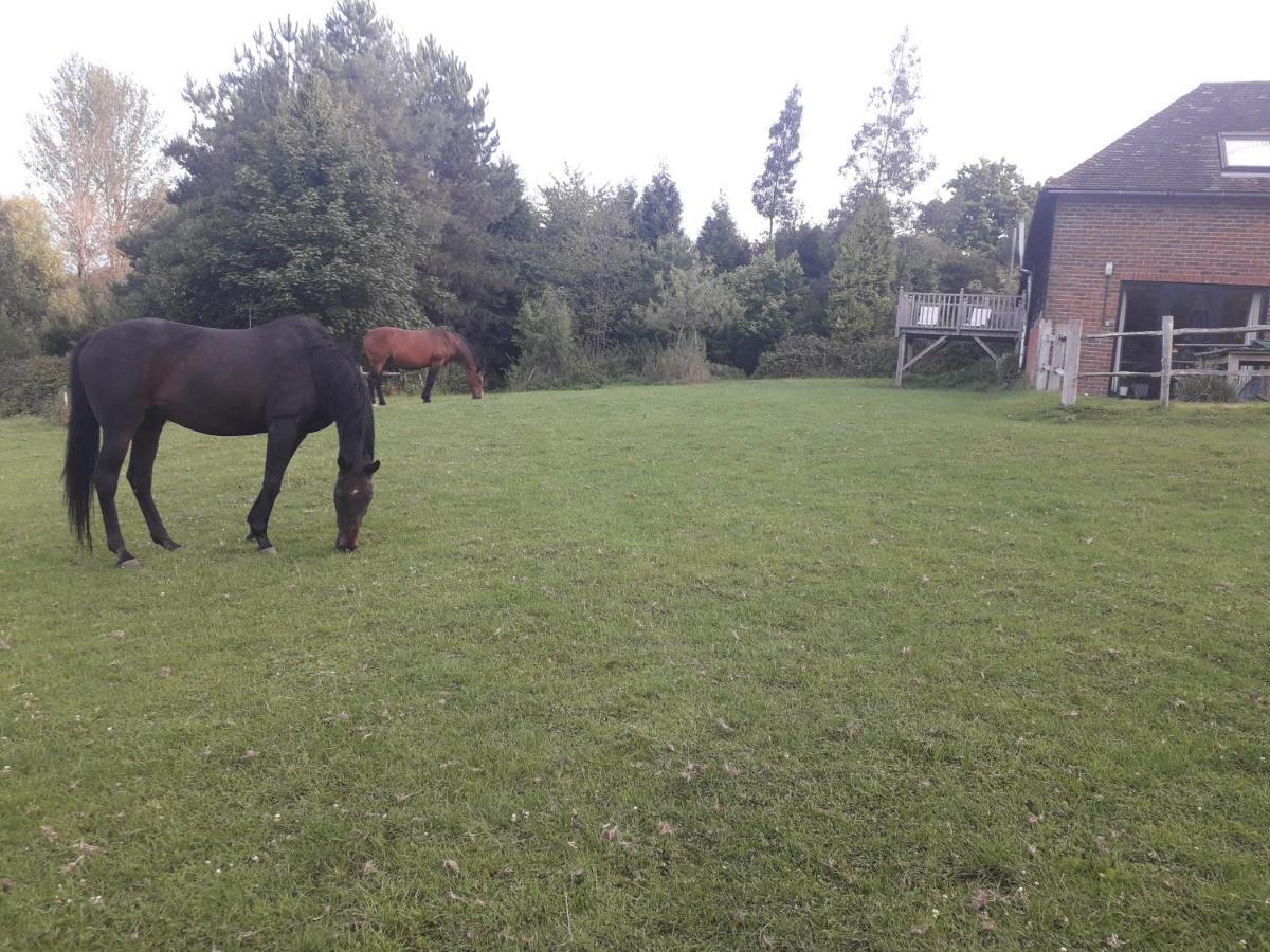 Moaps Farm B&B Support Small Business, Welcome, Check In From 5 Pm Danehill Eksteriør billede