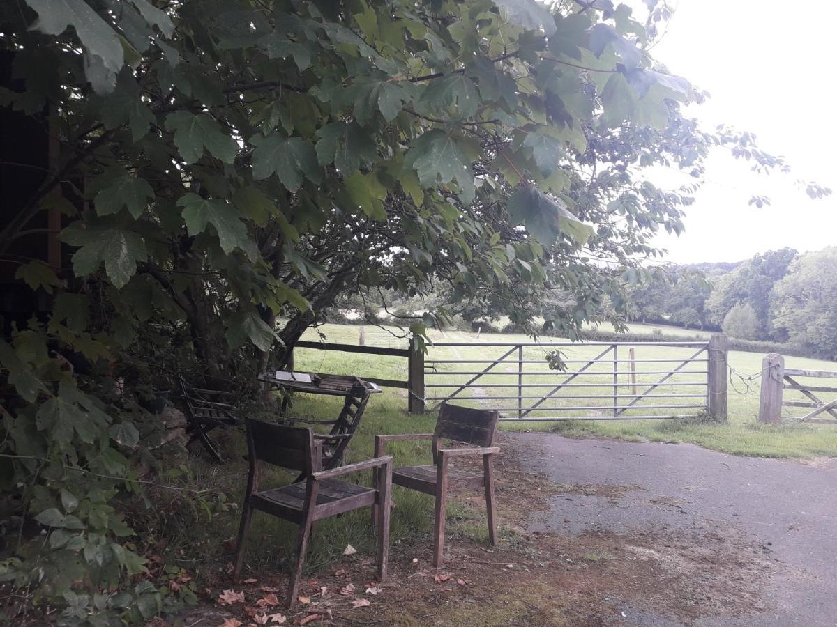 Moaps Farm B&B Support Small Business, Welcome, Check In From 5 Pm Danehill Eksteriør billede
