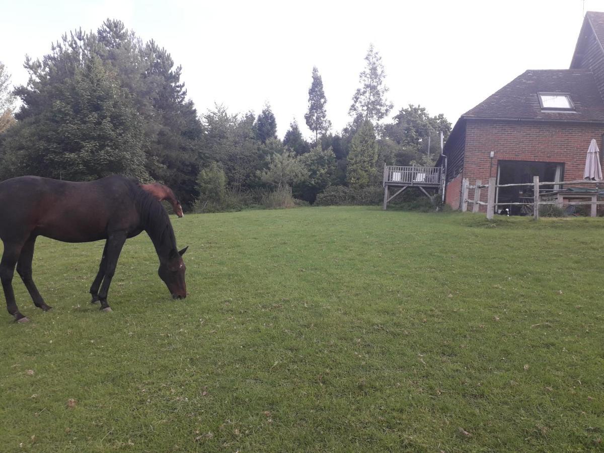 Moaps Farm B&B Support Small Business, Welcome, Check In From 5 Pm Danehill Eksteriør billede