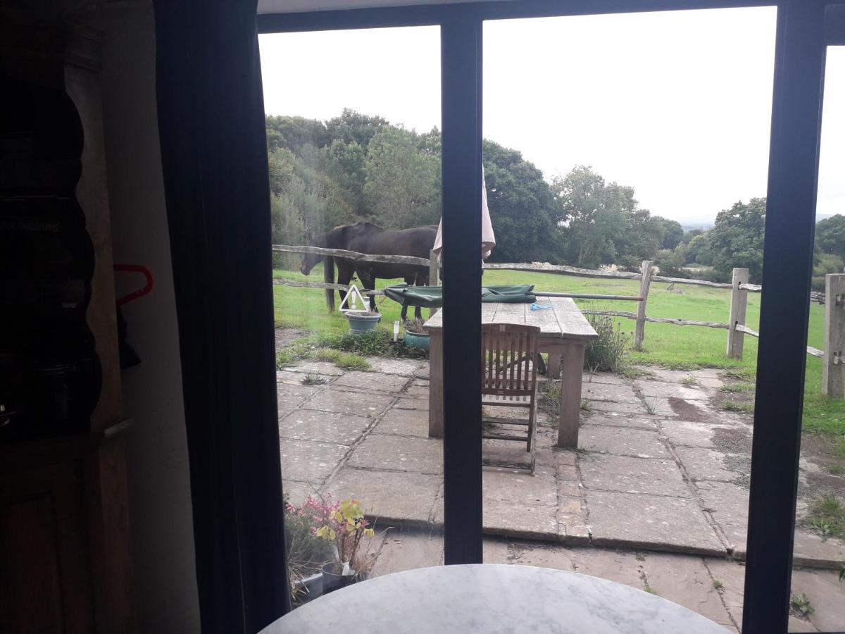 Moaps Farm B&B Support Small Business, Welcome, Check In From 5 Pm Danehill Eksteriør billede