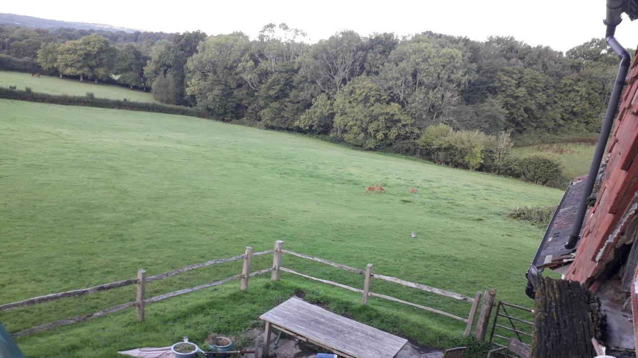 Moaps Farm B&B Support Small Business, Welcome, Check In From 5 Pm Danehill Eksteriør billede