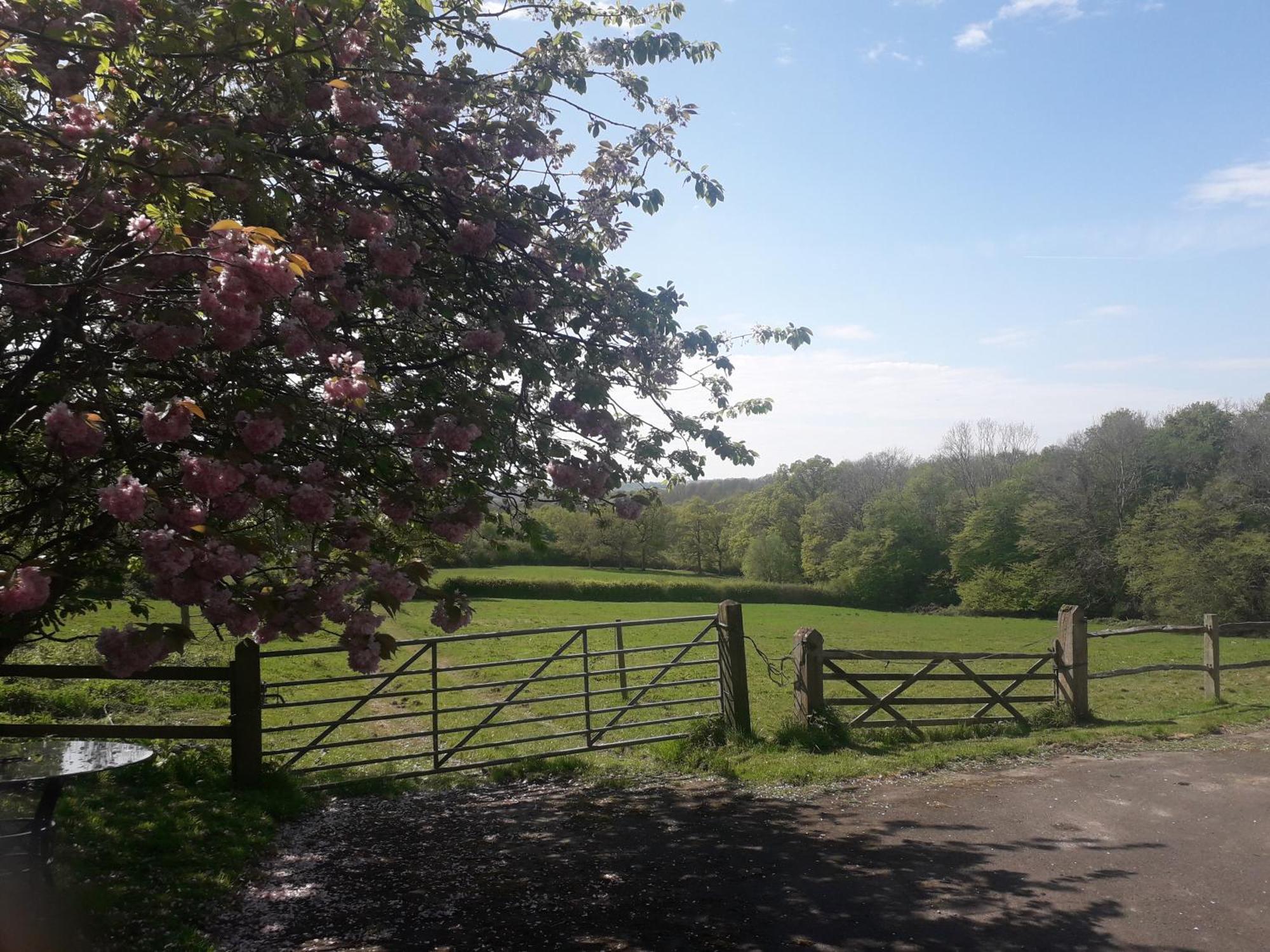 Moaps Farm B&B Support Small Business, Welcome, Check In From 5 Pm Danehill Eksteriør billede